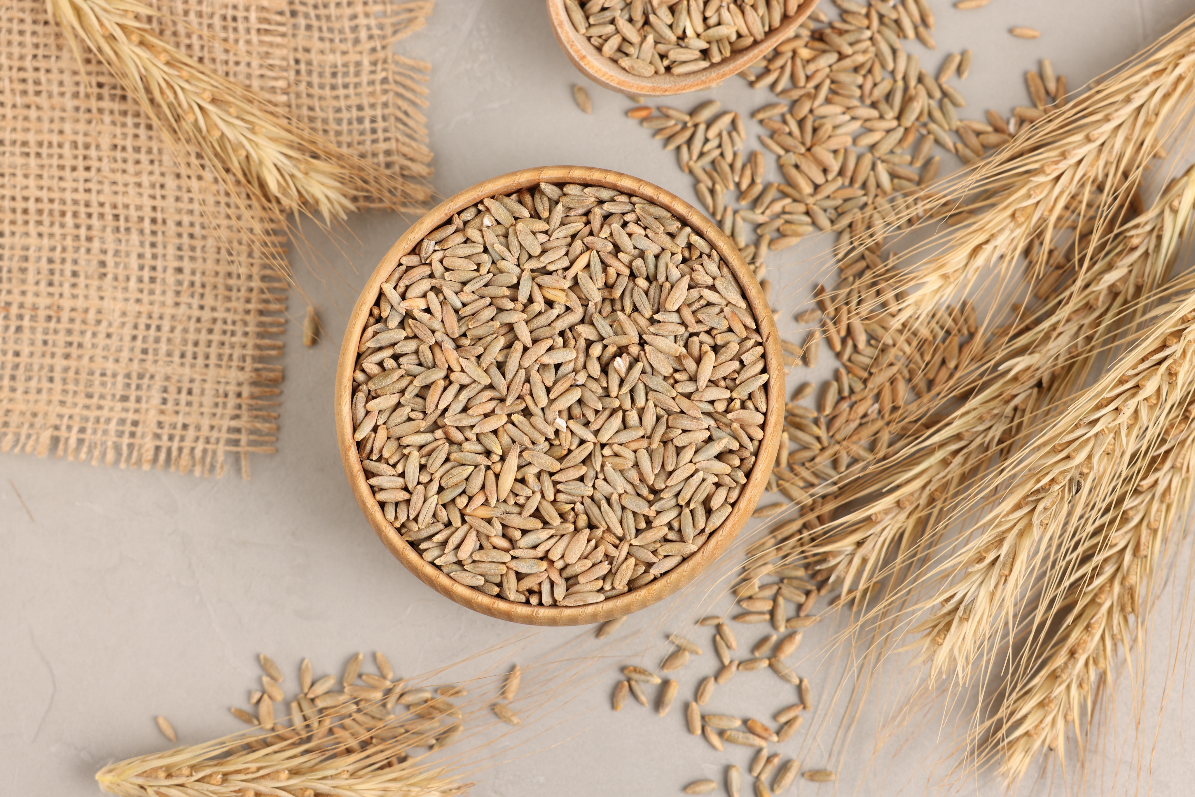 rye-grains-bowl-spoon-spikes-light-grey-table-flat-lay (1)
