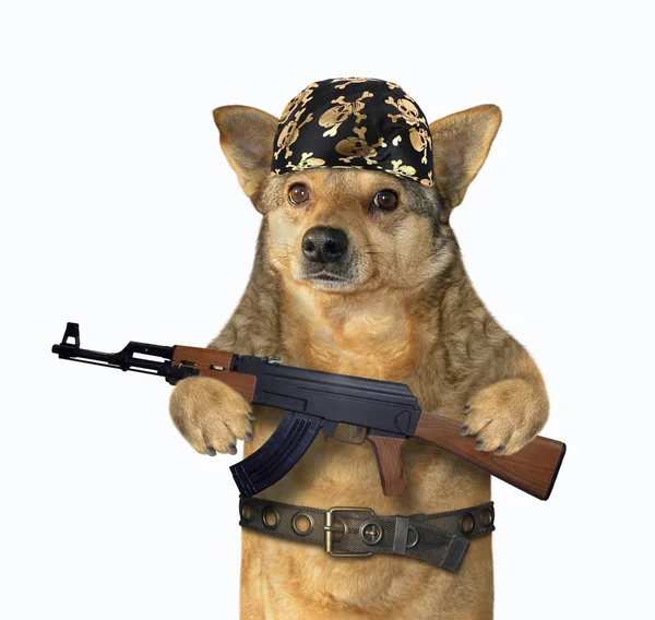 개강총회(개총) 종강총회(종총) 필참인가요?