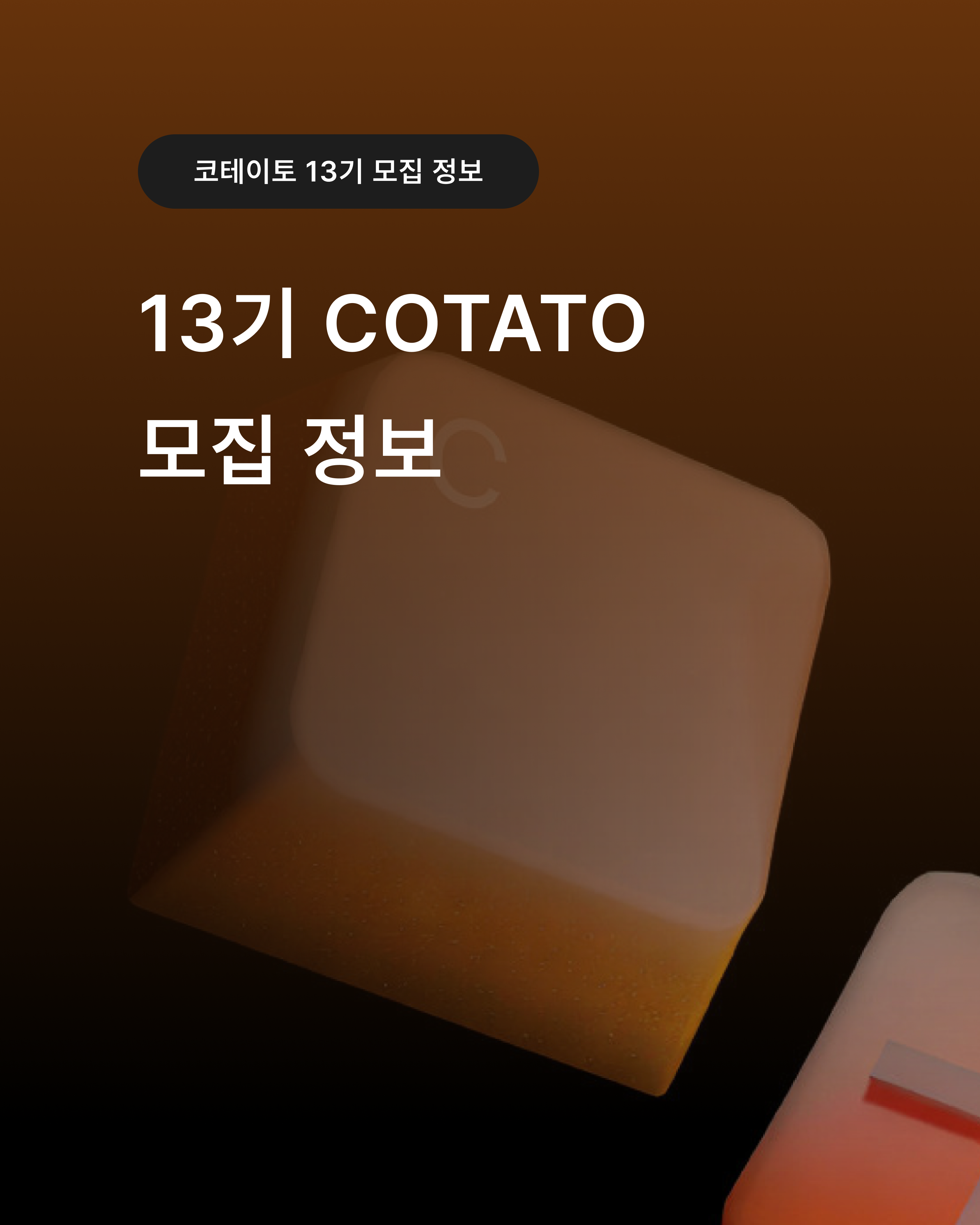 대학생 IT 연합동아리 코테이토 13기 모집